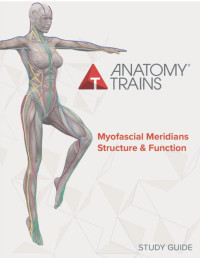 ANATOMY : From Head To Foot, 2023