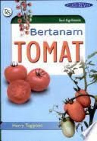 Image of bertanam tomat