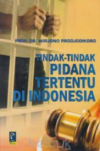 Image of Tindak-tindak Pidana Tertentu di Indonesia, Ed 3, Cet 4, Thn 2012